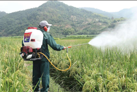 Pulvérisateur à moteur 2 temps haute performance 25L, pulvérisateur à dos agricole pour la lutte antiparasitaire et la fertilisation