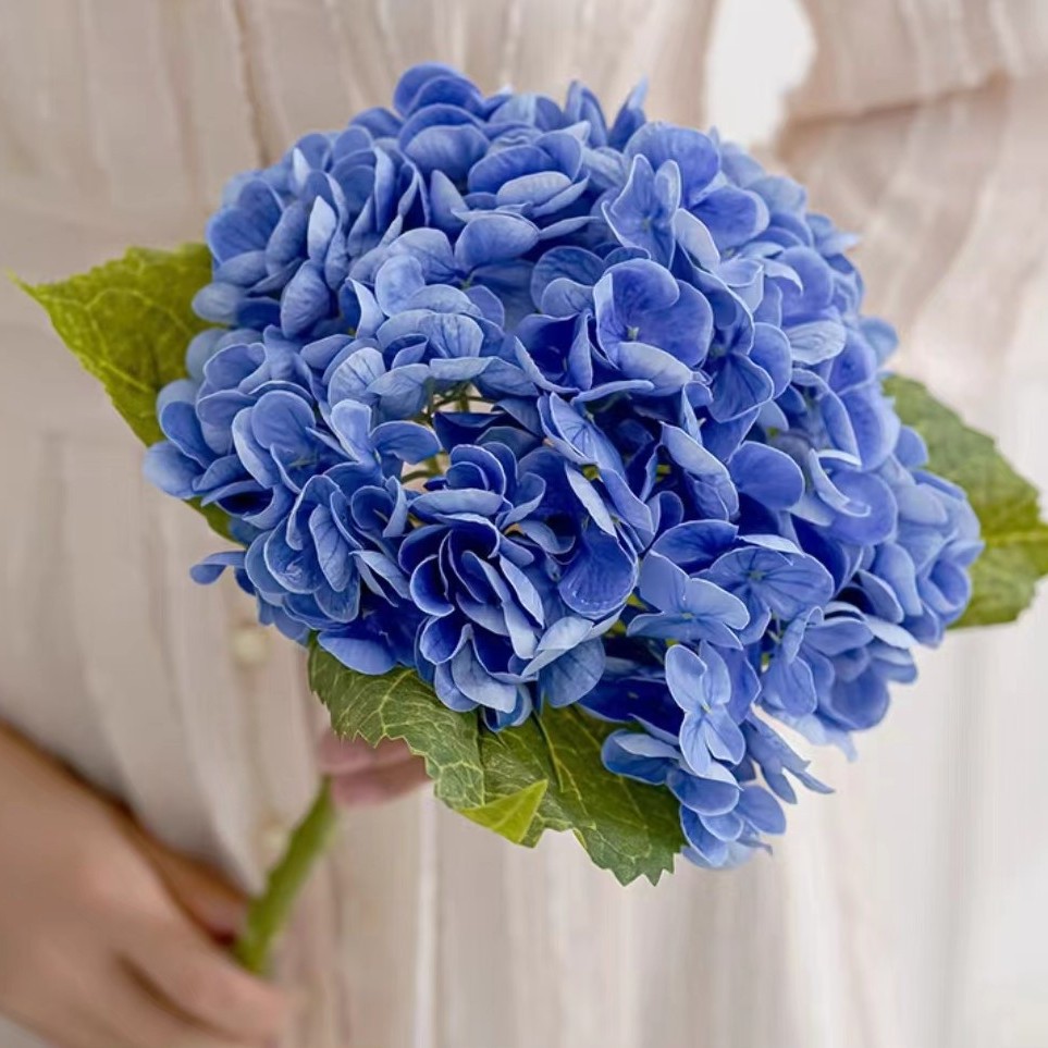 สีน้ำเงิน