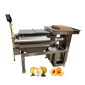 Industrial Fresh Fruit Vegetable Blender Juicer Extractor <b>Orange</b> Ginger Lemon Pineapple Cold <b>Press</b> Juicer Pulper Machine - Product Image 6