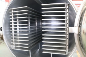 Máquina Liofilizadora de Alimentos de Alta Calidad para Uso Comercial, Liofilizador de Alimentos, Máquina de Liofilización de Café - Product Image 5
