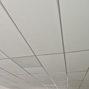 Le <span class=keywords><strong>plafond</strong></span> acoustique lambrisse le poids léger perforé par 4x8 en métal pour le système industriel de <span class=keywords><strong>plafond</strong></span> suspendu de bureau commercial - Product Image 1