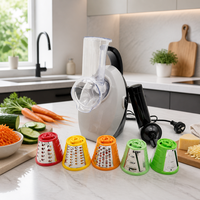 Lage minimale bestelhoeveelheid, veelzijdige, snelle 150 Watt multifunctionele elektrische snijmachine, rasp en groentesnijder voor fruitverwerking