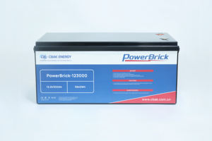 CBAK 12.8V 20Ah 75Ah <span class=keywords><strong>100Ah</strong></span> 125Ah 200Ah 300Ah液体LiFePO4バッテリーモジュール2000サイクルIP56電気フォークリフトホーム-20 ~ 60C - Product Image 6