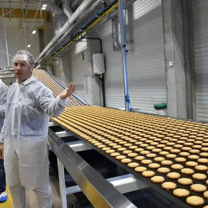 Berbagai produksi otomatis 100kg/jam lini produksi biskuit otomatis mesin pembuat biskuit