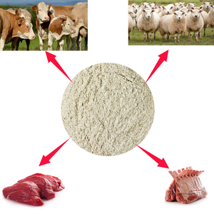 Un Equipo Profesional Desarrolla y Fabrica Aditivos para Piensos Específicamente para Ganado Vacuno - Product Image 3