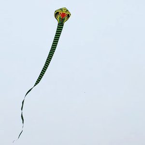 New Trung Quốc nhà máy bán sỉ và tùy biến trẻ em mới của rắn diều đuôi dài diều cho các hoạt động ngoài trời của trẻ em người lớn - Product Image 3