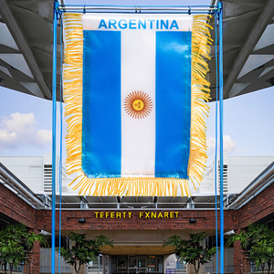 Mini bandiere di nappe sono state appese agli specchietti retrovisori delle auto dei tifosi durante l'evento sportivo di calcio Stati Uniti Canada e Messico - Product Image 3