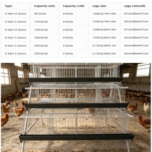 Cage à poules pondeuses de type A à 4/5 niveaux pour élevage avicole, avec système d'alimentation et d'abreuvement - Product Image 2