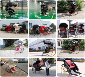 High Quality Classic Pink Rickshaw Old-fashioned Carriage New 2-seater 2-Wheeled Hybrid Rickshaw Solid <b>Rubber</b> Tires 3K <b>Paint</b> - Product Image 6