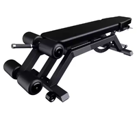 Banc pliant réglable en acier DW Sports OEM ODM personnalisable avec une capacité de 450 kg, garantie 1 an, pour usage domestique ou en salle de sport
