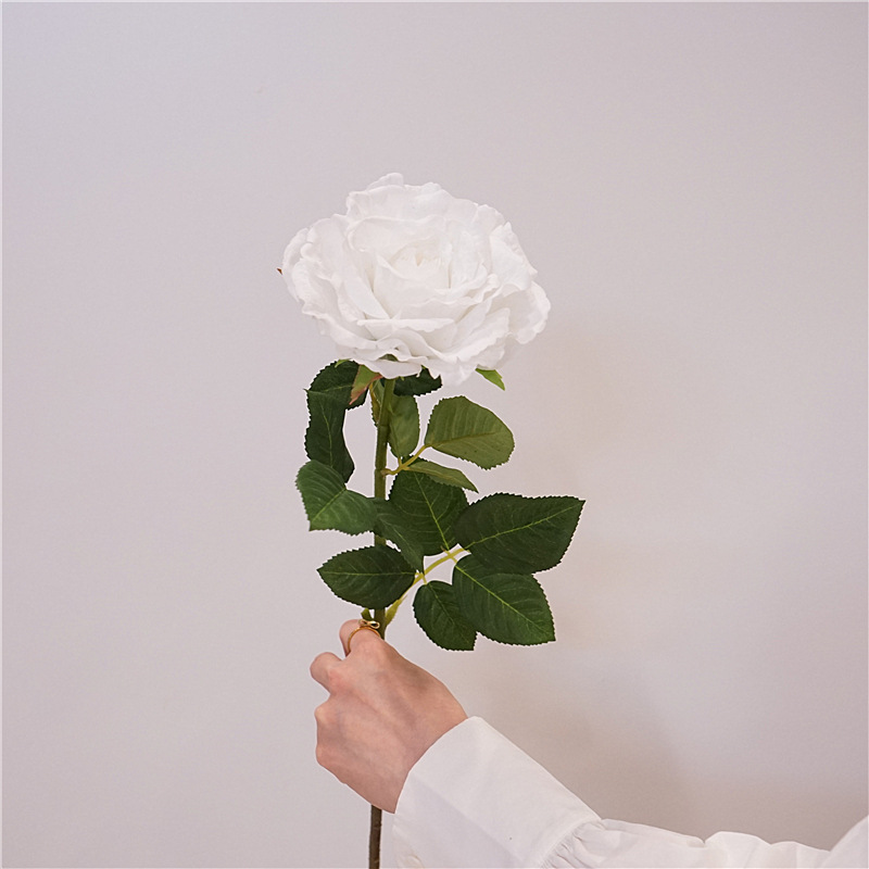 Blanc