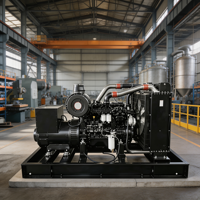 Groupe électrogène diesel 250 kW 312,5 kVA, type ouvert, démarrage automatique, ATS, faible bruit, avec AVR, pour usine industrielle