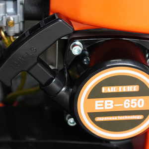 Soplador de Gasolina EB-650 de 210 mph, Tipo Mochila, de Aleación de Aluminio de Grado Industrial - Product Image 1