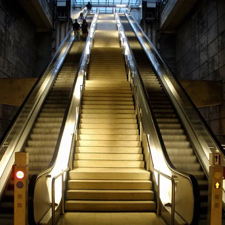 Эскалатор для лифта | Эскалатор для торговых центров | Эскалатор для движения в помещении шаг 600-800-1000 30 и 35 угловой Эскалатор
