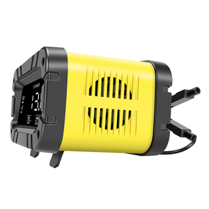 Nuevo Cargador de Batería Inteligente para Automóvil Eléctrico de Corriente Continua, 10 A, 12 V, 24 V, 20 Amperios, para Baterías de Plomo-Ácido, Litio y Lifepo4, con Buen <span class=keywords><strong>Precio</strong></span> - Product Image 5