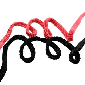 Sangle élastique en polyester colorée personnalisée 2024, bande élastique pour laisse de chien, laisse élastique en polyester - Product Image 3