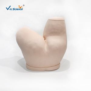 Simulador de Administración de Enemas, Maniquí de Entrenamiento, Modelo de Entrenamiento de Inyección Médica, Almohadilla de Práctica - Product Image 3