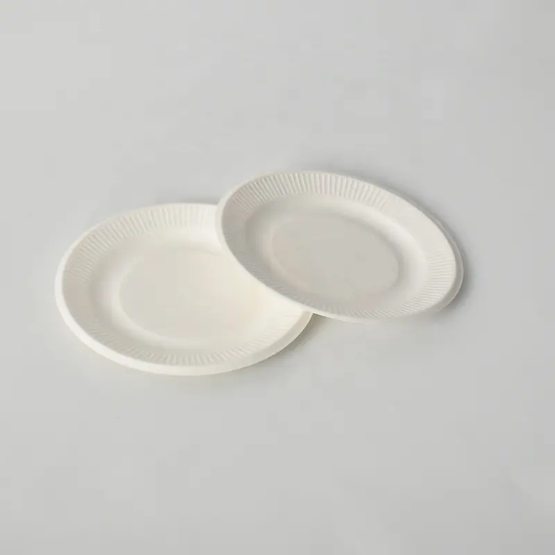 Kostenlose Probe Dessert Bagasse Fach Hochzeit Abendessen Teller Papier Abendessen Untertasse Teller