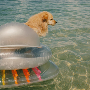 Flotteur gonflable en <span class=keywords><strong>plastique</strong></span> <span class=keywords><strong>de</strong></span> matelas <span class=keywords><strong>de</strong></span> lit <span class=keywords><strong>de</strong></span> natation <span class=keywords><strong>de</strong></span> l'eau avec la baignoire gonflable <span class=keywords><strong>de</strong></span> bronzage <span class=keywords><strong>de</strong></span> piscine d'oreiller <span class=keywords><strong>de</strong></span> PVC - Product Image 2