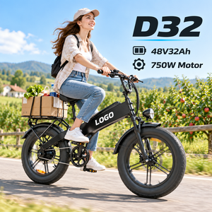 Vélo de livraison OEM D32 750W 48V32Ah avec frein hydraulique, capacité de charge de 200 kg, vente en gros d'usine - Product Image 1