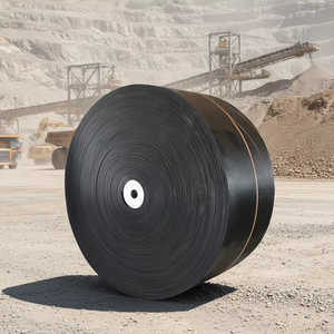 Dongfeng Fabriek Professionele EP/NN Bandrollen Circulaire Gemotoriseerde Bandtransportband - Product Image 1