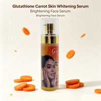 Sérum Éclaircissant à Absorption Rapide pour la Peau, Lissant les Rides et Ridules, à l'Arbutine et Carotte, OEM