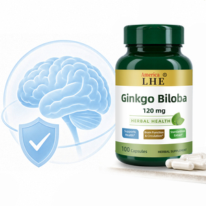 Capsules de Ginkgo Biloba GMP Shecome, complément alimentaire pour la mémoire, améliore les fonctions cérébrales et la vigilance mentale, capsules de Ginkgo Biloba - Product Image 3
