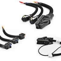 Cablaggio Completo OEM per Scooter a Due Ruote con Rivestimento in PVC