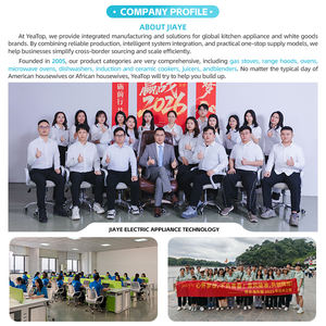 Réfrigérateur encastrable domestique 20-30 pieds cubes en aluminium, sans givre, économe en énergie, intelligent, interface en français, OEM ODM - Product Image 4