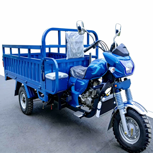 Triciclo de Carga a Gasolina de 201-250cc, Motocicleta de Tres Ruedas para Transporte de Mercancías - Product Image 1