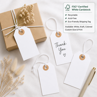 Étiquettes blanches vierges écologiques et résistantes, 100 pièces, personnalisables avec logo, vente en gros, étiquettes renforcées avec cordon élastique
