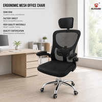 Chaise de bureau ergonomique à dossier haut en maille ALINUNU, directement de l'usine, avec accoudoirs rabattables