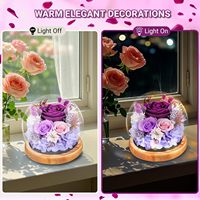 Großhandel Konservierte Blumen Rosen-Geschenkbox Ewige Rosen-Bouquets Echte Blumen Muttertag Geburtstagsgeschenk