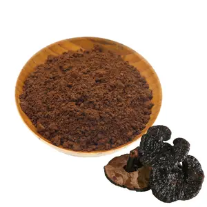 Pure Natural Original Herbal reishi powder Amino Acid Vitamin Ganoderma Lucidum Reishi extract powder