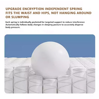 Matelas en Soie Glacée Doux, Régulateur de Température, Silicone Écologique, Respirant, Hypoallergénique, Anti-Moisissure/Anti-Acariens pour Chambre à Coucher