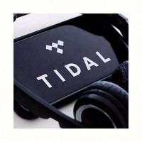 Abonnement Premium Tidal Music 12 mois, comptes Tidal, abonnement Tidal Hifi Plus 1 an