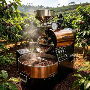 Torréfacteur à café de boutique 1 kg, chauffage électrique, <span class=keywords><strong>acier</strong></span> inoxydable 304 avec plateau de refroidissement, pour café à domicile - Product Image 5
