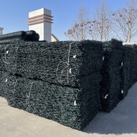 Prix d'usine Gabion noir revêtu de PVC, conception de boîte de gabion pour le Kenya