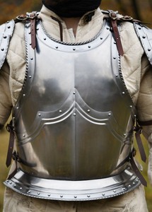 Conjunto de Armadura Gótica de Acero para Torso y Espalda con Acabado Metálico Premium, Diseño Duradero para Exhibición y Decoración de Coleccionistas - Product Image 3