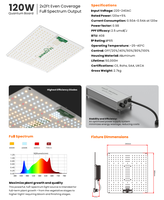 Kosteneffectieve 120W Volspectrum LED Kweeklamp Ultralicht Quantum Paneel Verre Rood Dimmer Hoge Efficiëntie Bloei Succulenten Tuinbouw