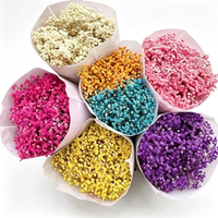 Fleur de Gypsophile Préservée Grande et Séchée Faite à la Main Marque KS pour Mariage, Saint-Valentin, Nouvel An, Thanksgiving