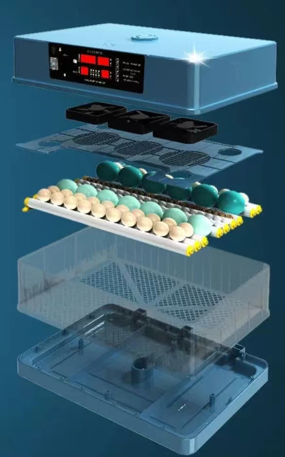Intelligent Control mini egg incubator