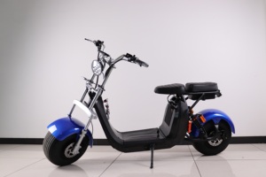 Scooter Eléctrico para dos discapacitados, scooter <span class=keywords><strong>schwinn</strong></span> s350 de 2021 vatios, con auto equilibrio, precio de rueda de 10 pulgadas y 12 pulgadas, 2000 - Product Image 3