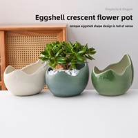 Pot à orchidées en céramique style coquille d'œuf pour salon, bureau, design simple fait main, décoration intérieure pour arbre à argent