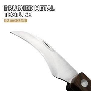 Outil professionnel pour la cueillette des champignons, couteau à truffes en bois, couteau à champignons pliable pour le camping avec brosse - Product Image 4