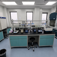 Meubles de laboratoire pour essais d'or, tables de laboratoire médical, armoire mobile, banc de laboratoire résistant aux acides et hotte d'extraction de fumées