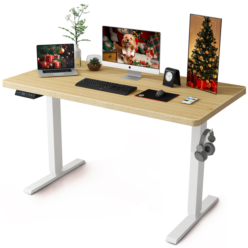 Modern Minimalist Electric Single Motor Sit