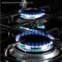 Cuisinière Xunda 5 brûleurs, four multifonction, cuisinière à gaz 5 brûleurs avec four et grill