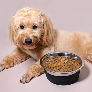 Heavy Duty metallo cibo e ciotola di acqua per l'alimentazione di cani e gatti rimovibile fondo antiscivolo in acciaio inox cane ciotole di Base in gomma - Product Image 2