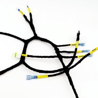 Kit complet personnalisé de faisceau de câbles électriques voiture pour voitures